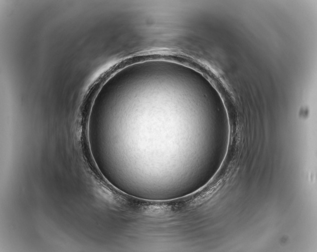 X0000099421406200805161035