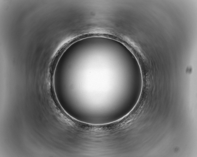 X0000099421408200805161035