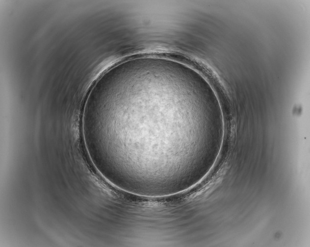 X0000099421409200805161035