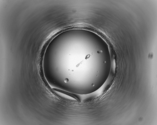 X0000099421410200805161035