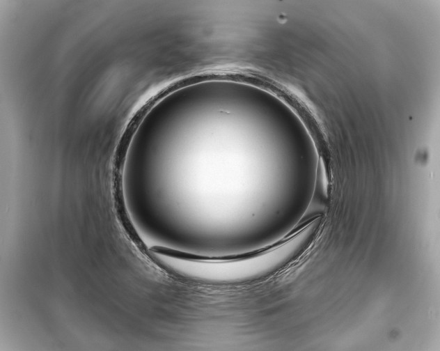 X0000099421412200805161035
