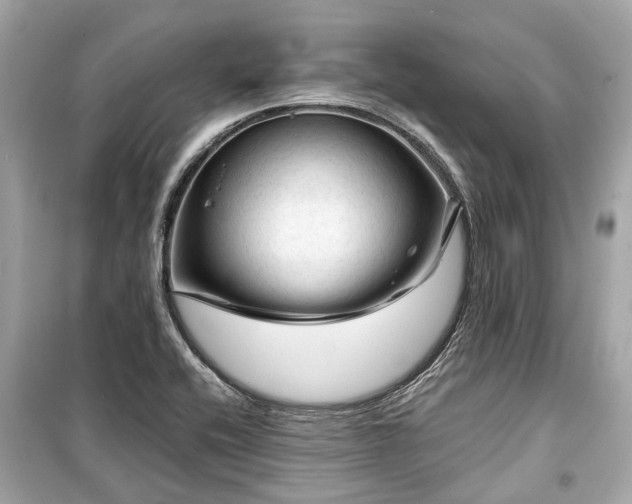 X0000099421416200805161035