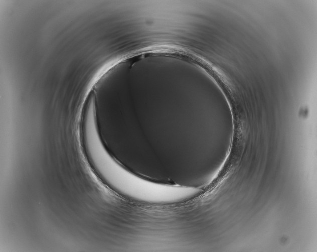 X0000099421418200805161035