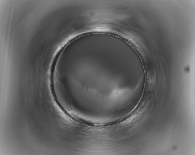 X0000099421422200805161035