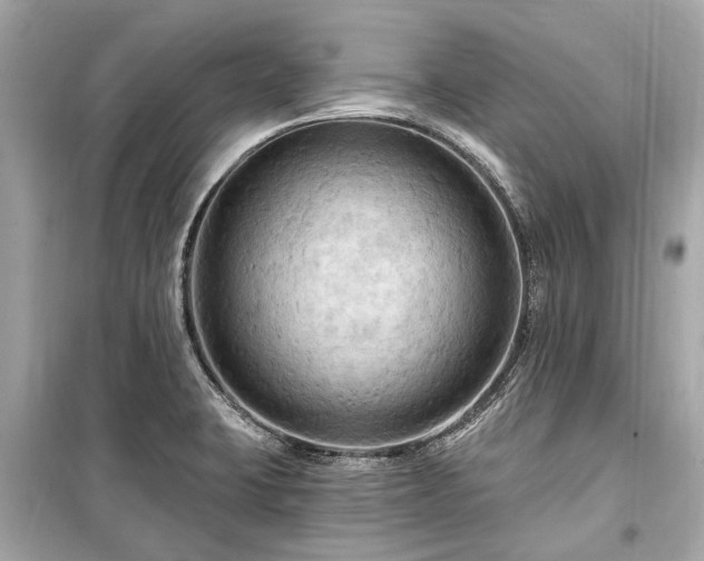 X0000099421423200805161035