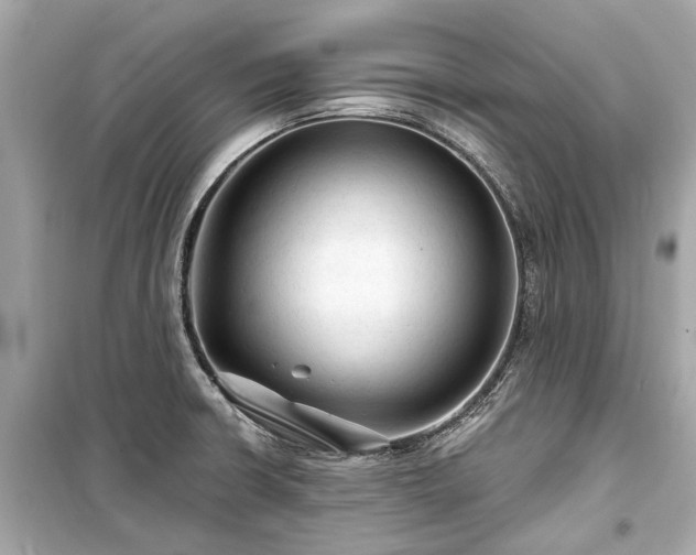 X0000099421426200805161035