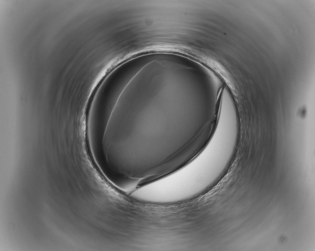 X0000099421428200805161035
