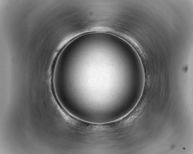 X0000099421430200805161035