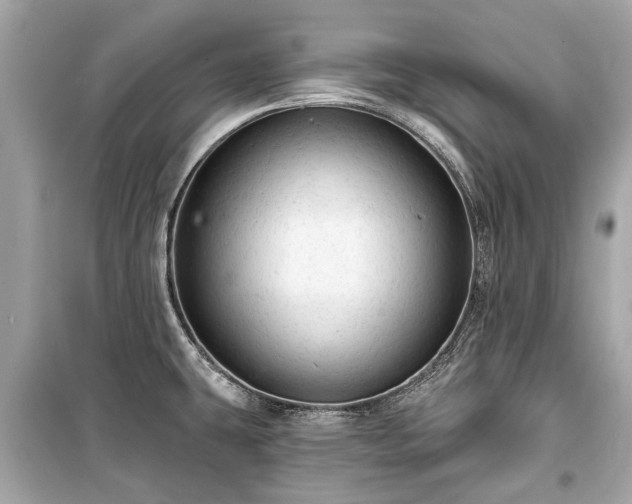 X0000099421431200805161035