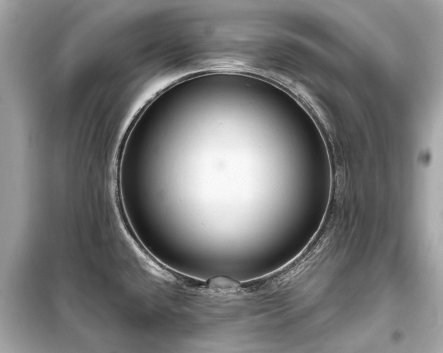 X0000099421432200805161035