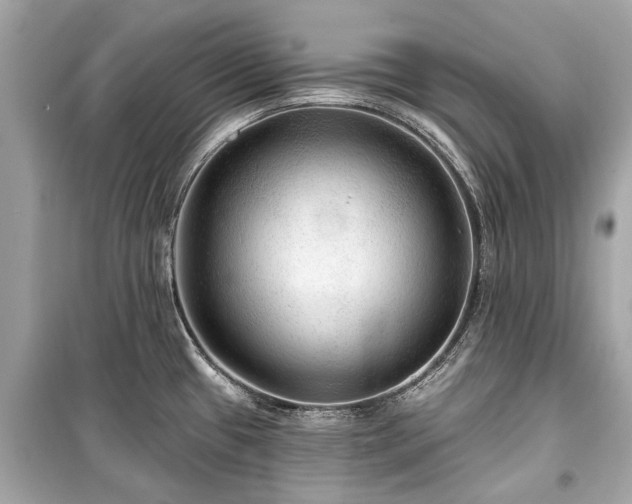 X0000099421433200805161035
