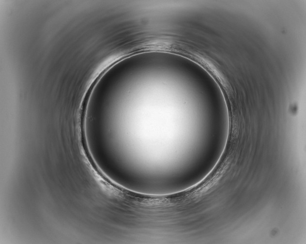 X0000099421434200805161035