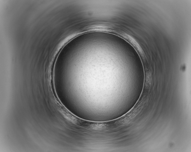 X0000099421435200805161035