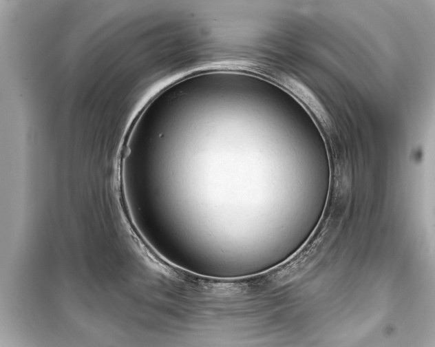 X0000099421436200805161035