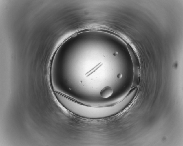 X0000099421437200805161035