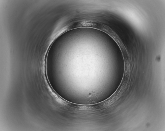 X0000099421439200805161035