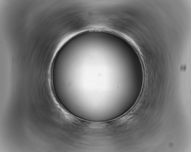 X0000099421440200805161035