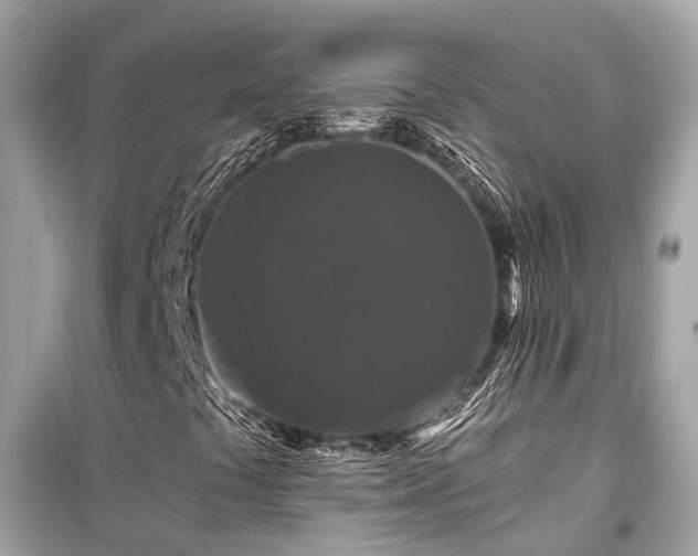 X0000099421441200805161035