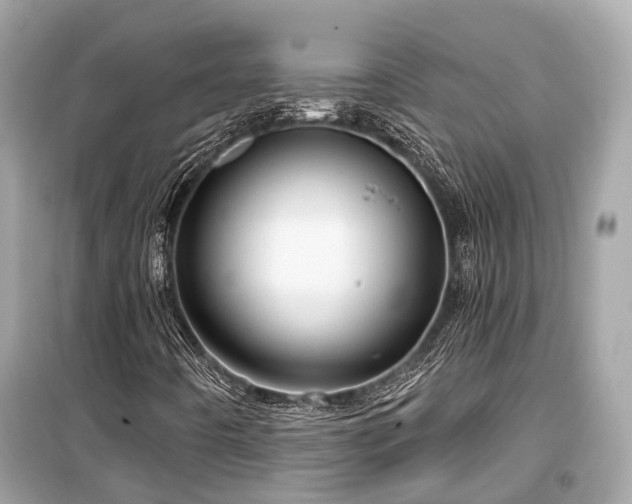X0000099421442200805161035