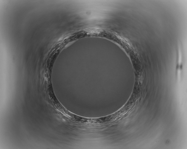 X0000099421445200805161035