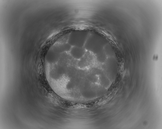 X0000099421446200805161035