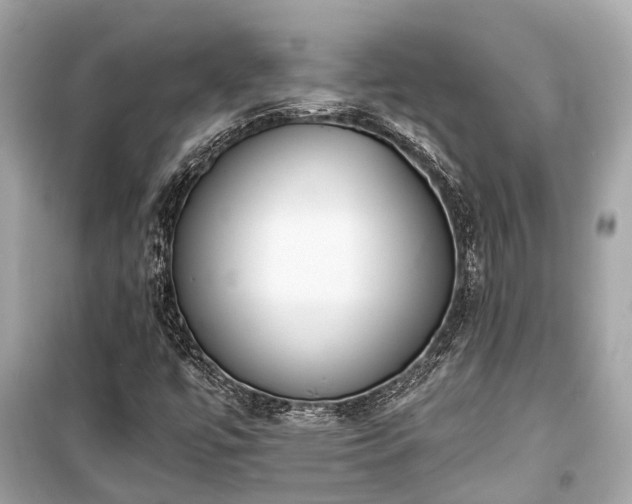X0000099421447200805161035