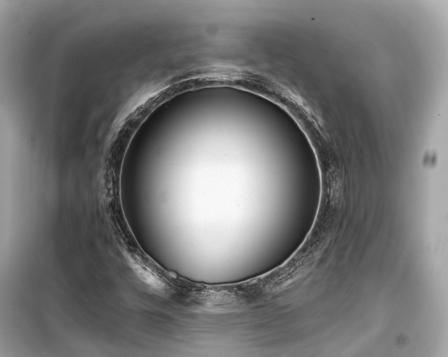 X0000099421448200805161035