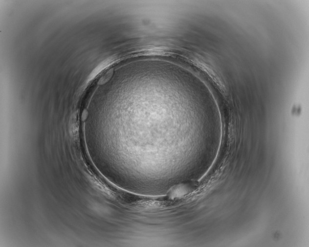 X0000099421450200805161034