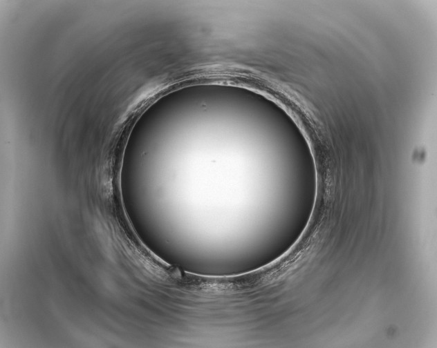 X0000099421451200805161034