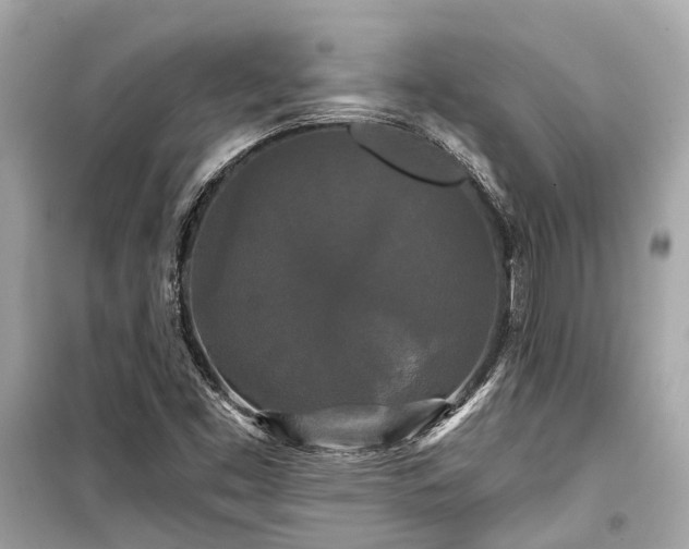 X0000099421453200805161034