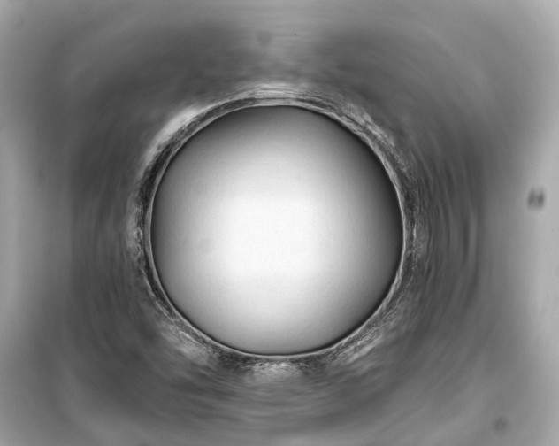 X0000099421454200805161034