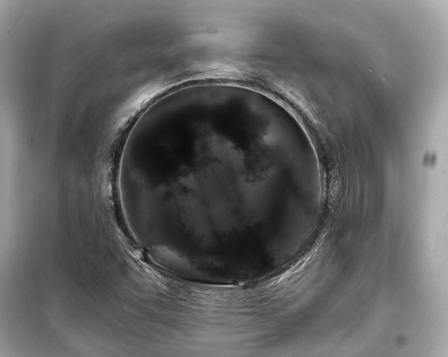 X0000099421455200805161034