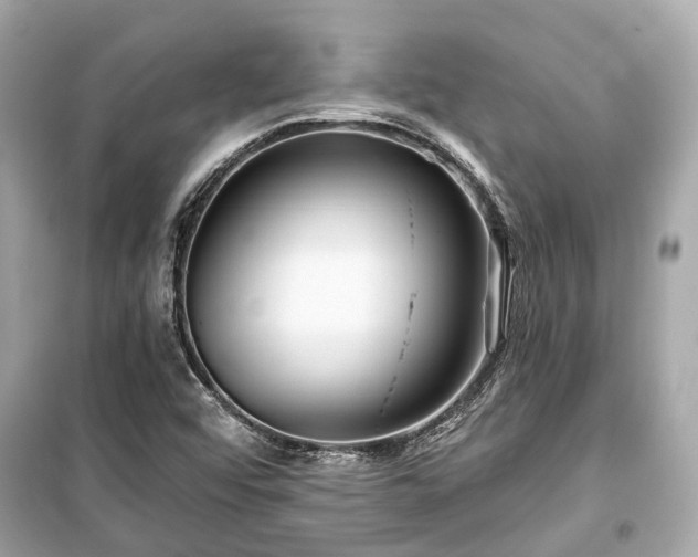X0000099421456200805161034