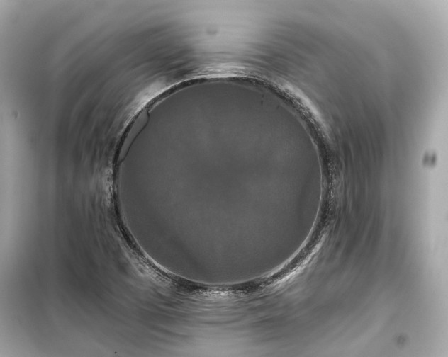 X0000099421457200805161034
