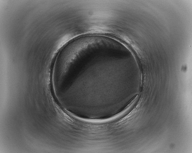 X0000099421459200805161034