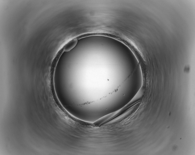 X0000099421460200805161034