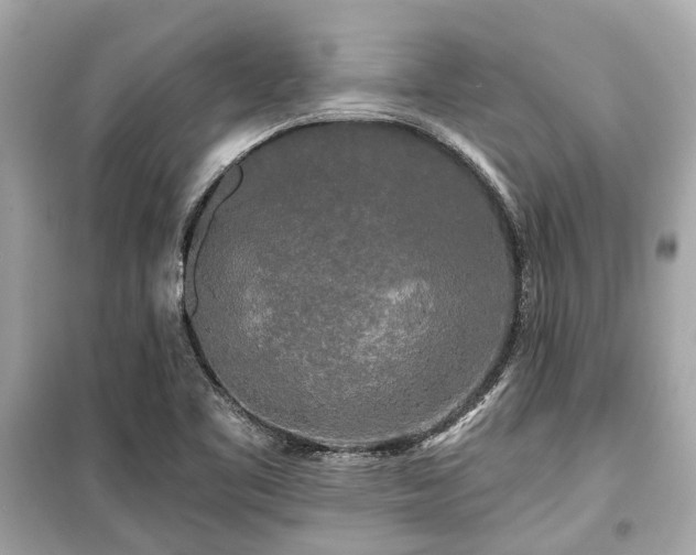 X0000099421461200805161034