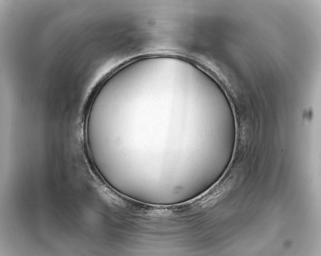 X0000099421462200805161034