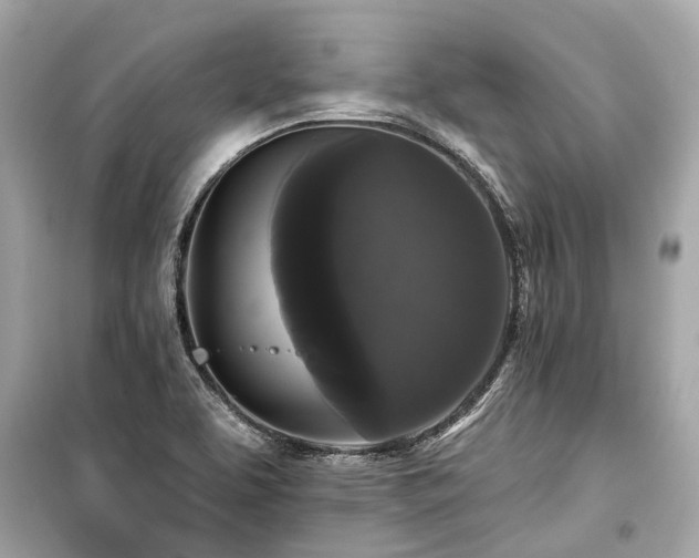 X0000099421463200805161034