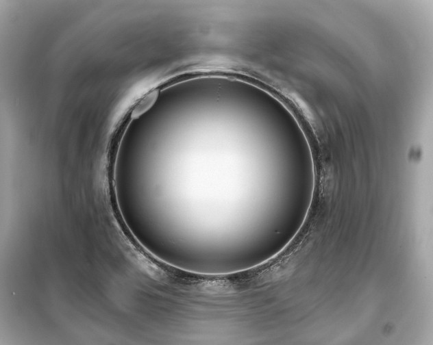 X0000099421464200805161034