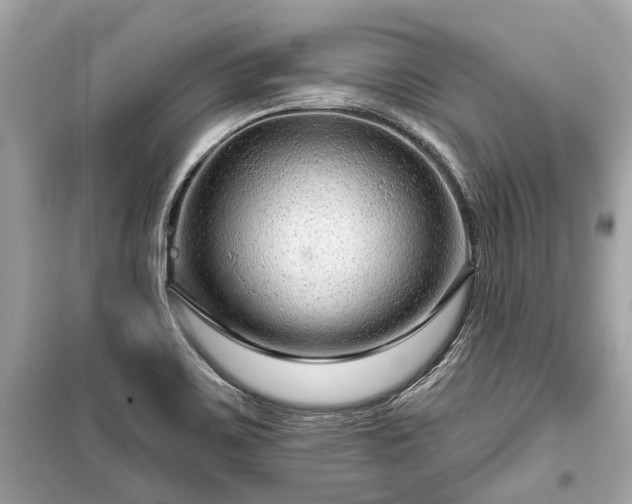 X0000099421467200805161034