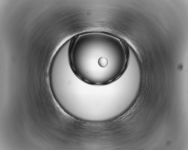 X0000099421468200805161034