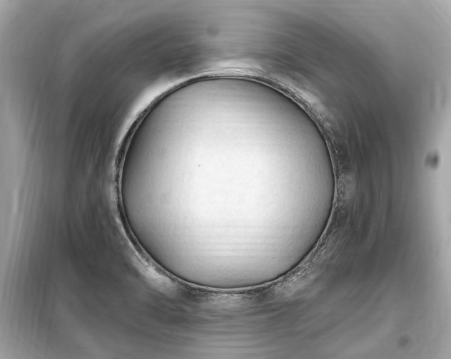 X0000099421470200805161034