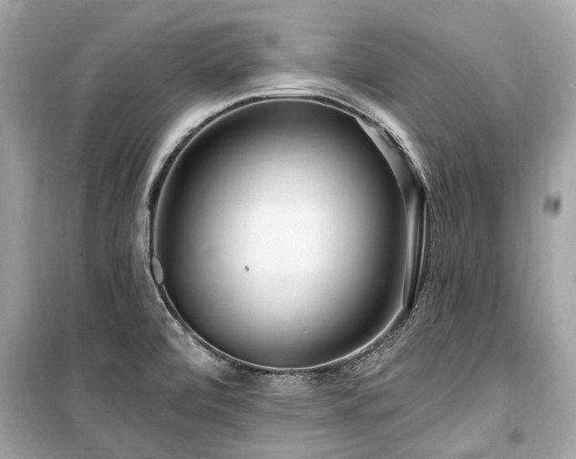 X0000099421472200805161034