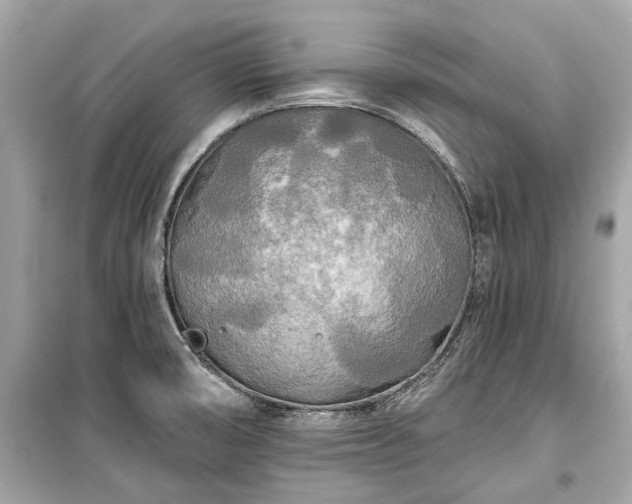 X0000099421474200805161034
