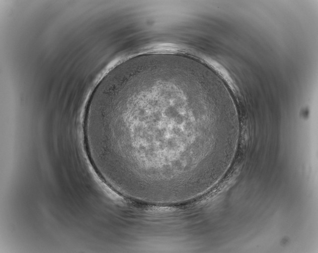 X0000099421475200805161034