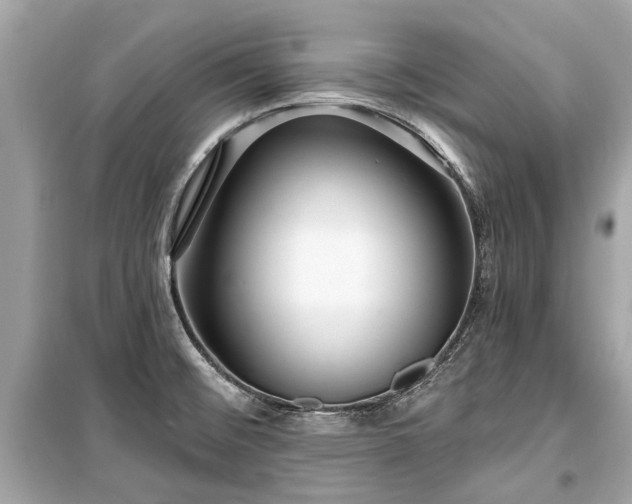 X0000099421476200805161034