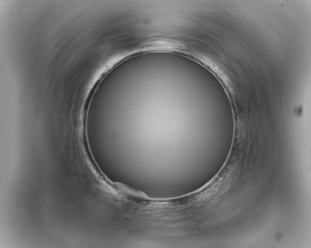X0000099421477200805161034
