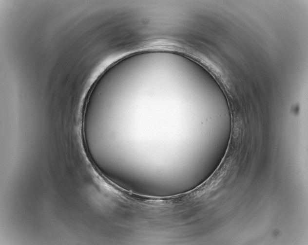 X0000099421478200805161034