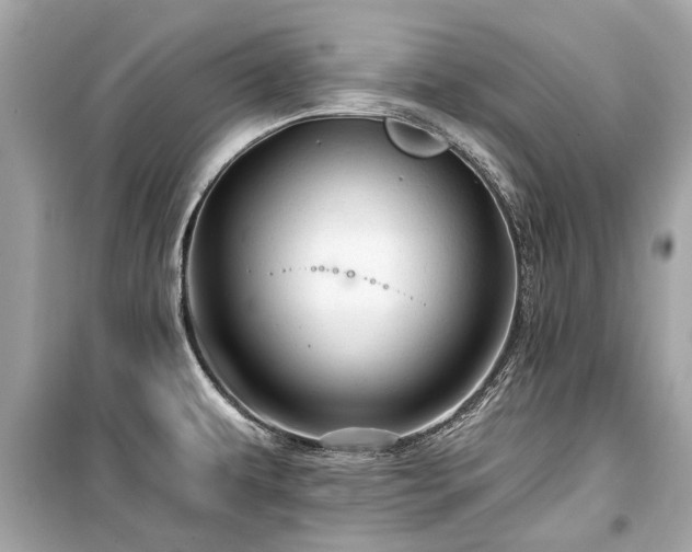 X0000099421479200805161034